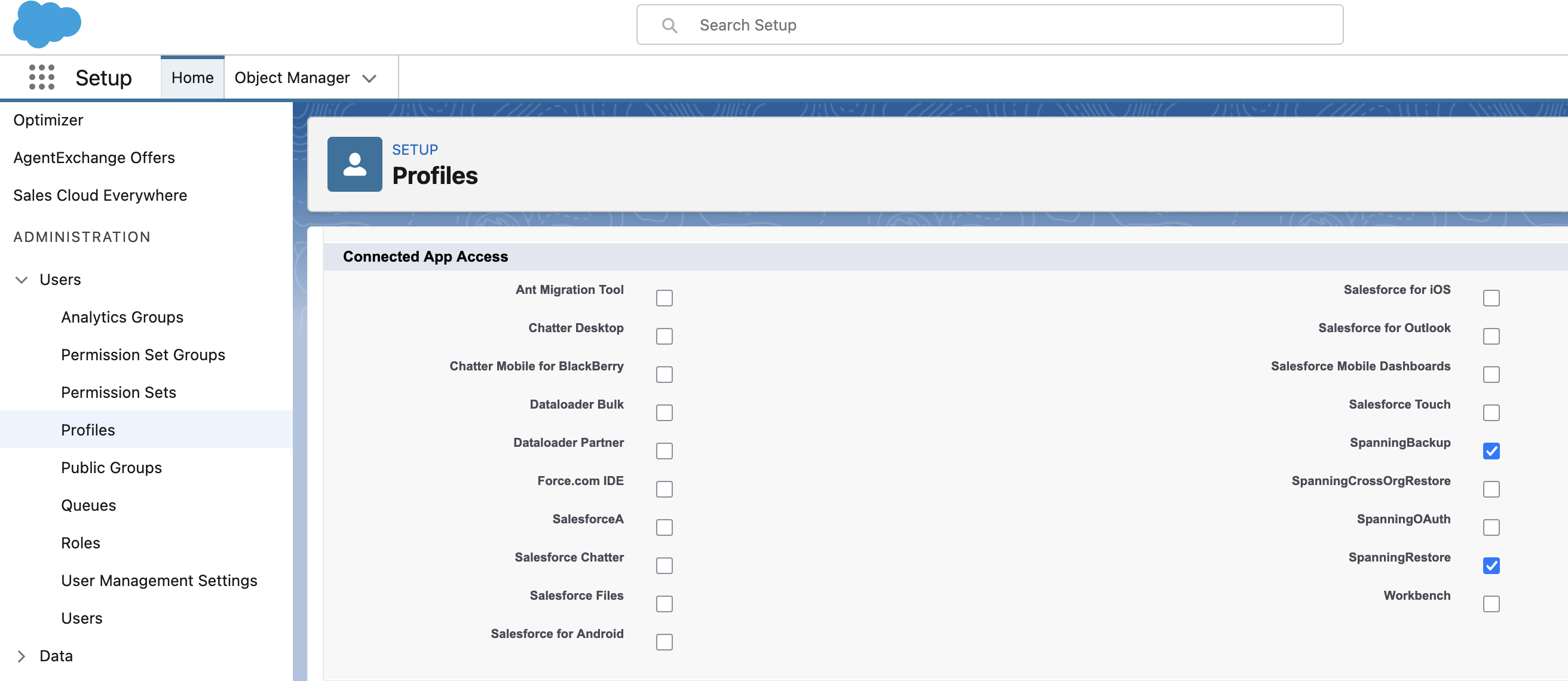 Salesforce profile Connected App Access section with SpanningBackup checked